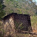 Nenek 90 Tahun di Alor Tinggal di Rumah Hampir Roboh Rumah Nenek Lodia Fanmabi di Likutau, Desa Welai Selatan