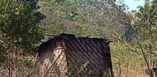 Nenek 90 Tahun di Alor Tinggal di Rumah Hampir Roboh Rumah Nenek Lodia Fanmabi di Likutau, Desa Welai Selatan