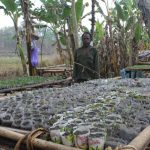 Kekeringan Ancam Pertanian Desa Welai Selatan Kabupaten Alor Zakarias Ahalapada sedang melihat bibit sayur kol yang disemaikan terancam mati semua.