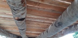 Hanya di Alor, Konstruksi Jembatan Gunakan Batang Kelapa Proyek Jembatan Talawa yang dibangun dengan konstruksi Batang Kelapa