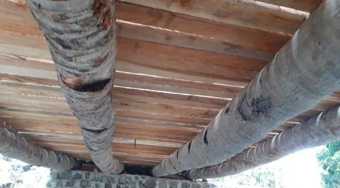 Hanya di Alor, Konstruksi Jembatan Gunakan Batang Kelapa Proyek Jembatan Talawa yang dibangun dengan konstruksi Batang Kelapa