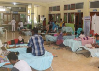 Kasus DBD di Alor, 2 Pasien Meninggal, 103 Positif Terjangkit Pasien DBD yang dirawat di ruangan VIP RSUD Kalabahi