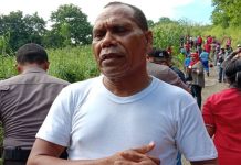 Bupati Alor: Otak Biawak dan Tai Ular Bisa Cegah Corona Bupati Alor Drs. Amon Djobo