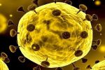 Breaking News: Satu Pasien Dicurigai Terpapar Virus Corona di Alor NTT Ilustrasi virus corona. (Foto: Kompas.com)