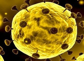 Breaking News: Satu Pasien Dicurigai Terpapar Virus Corona di Alor NTT Ilustrasi virus corona. (Foto: Kompas.com)