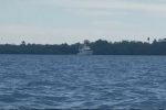 Khawatir Covid-19, DKP NTT Usir Kapal Turis Asing di Pulau Sika Kapal Australia yang diusir KC DKP NTT di perairan laut pulau Sika Kabupaten Alor pada Sabtu (28/3) siang ini.