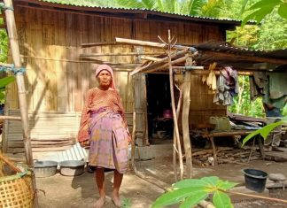 Tinggal di Rumah Reyot, Dua Janda Tua di Alor Tak Dapat PKH dan BST Oma Aizah Dursaha sedang berdiri membelakangi rumahnya di RT 5 RW 4 Desa Alila Timur Kecamatan Kabola, Kabupaten Alor, NTT.