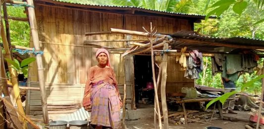 Tinggal di Rumah Reyot, Dua Janda Tua di Alor Tak Dapat PKH dan BST Oma Aizah Dursaha sedang berdiri membelakangi rumahnya di RT 5 RW 4 Desa Alila Timur Kecamatan Kabola, Kabupaten Alor, NTT.