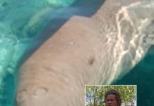 Harapan Pria Penemu Dugong di Festival Panggil Dugong Alor 2020 Penemu dan Penjinak Dugong Alor, Adolf Samasing.