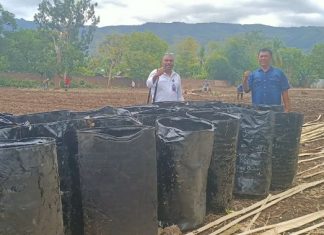 Forum Kader Bela Negara Dukung Lapas Buka Lahan Tidur di Alor NTT Anggota Forum Kader Bela Negara Lomboan Djahamou (ujung kiri) menyerahkan bantuan 20 unit drum air kepada Kepala Lapas Kelas II B Kalabahi Efendi Julianto, S.Sos.,SH.,M.Si (tengah) dan stafanya, Nixon, untuk mendukung pembukaan lahan tidur Lapas Mola yang berada di Kompleks Bungawaru, Minggu (12/7).