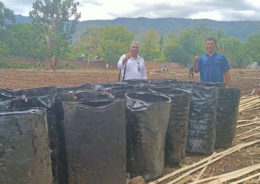 Forum Kader Bela Negara Dukung Lapas Buka Lahan Tidur di Alor NTT Anggota Forum Kader Bela Negara Lomboan Djahamou (ujung kiri) menyerahkan bantuan 20 unit drum air kepada Kepala Lapas Kelas II B Kalabahi Efendi Julianto, S.Sos.,SH.,M.Si (tengah) dan stafanya, Nixon, untuk mendukung pembukaan lahan tidur Lapas Mola yang berada di Kompleks Bungawaru, Minggu (12/7).