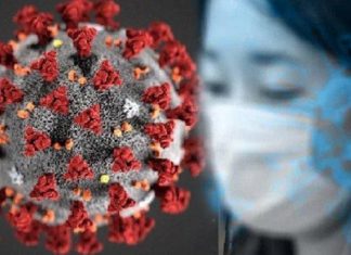 Belum Keluar Karantina, Pasien Covid-19 Alor Rindu Anak Ilustrasi pasien virus corona atau Covid-19. (Foto: Tribunnews.com).