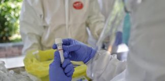 Breaking News: Alor Tambah 8 Kasus Covid-19, Total 56 Gambar: Ilustrasi hasil test swab. (Foto: cnnindonesia.com).