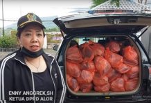 Video Ketua DPRD Alor Bagi Sembako Presiden dan Mensos, Ini yang membuat Bupati Marah Mensos Gambar: Tangkapan layar Ketua DPRD Alor Enny Anggrek sedang siap mengantar bantuan Sembako Presiden dan Mensos kepada korban Seroja di wilayah Alor. (Sumber: KORTEKS ALOR).
