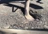 PUPR NTT Dipastikan Periksa Fisik Proyek Jalan Provinsi di Alor yang Bermasalah Foto bagian atas: Jalan provinsi NTT ruas Sp Mola-Mataraben tepatnya di Desa Wolwal yang diduga dikerjakan tidak bermutu. Nampak besi standar kenderaan roda dua menembus masuk ke dalam badan jalan itu usai dikerjakan belum lama ini. Foto bawah: Bibir jalan provinsi di Desa Wolwal yang patah.