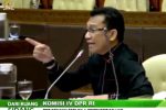 Ansy Lema Marah KLHK yang Berniat Turunkan Status Cagar Alam Mutis di NTT Anggota Komisi IV DPR RI Ansy Lema, ketika RDP dengan KLHK bahas wacana alih status Cagar Alam Mutis di NTT pada Senin, (24/11/2021) di gedung DPR Senayan Jakarta.