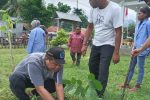 Jelang Syukuran Natal, UNTRIB Kalabahi Tanam Berbagai Anakan di Kebun Gereja Rektor UNTRIB Kalabahi Alvonso F. Gorang, Sos.,MM, di dampingi Lurah Kabola Minggus Moulaka (baju putih berdiri) melakukan penanaman anakan di halaman gedung GMIT Imanuel Palibo, Jumat (28/1).