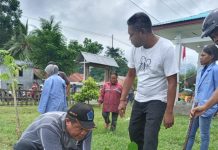 Jelang Syukuran Natal, UNTRIB Kalabahi Tanam Berbagai Anakan di Kebun Gereja Rektor UNTRIB Kalabahi Alvonso F. Gorang, Sos.,MM, di dampingi Lurah Kabola Minggus Moulaka (baju putih berdiri) melakukan penanaman anakan di halaman gedung GMIT Imanuel Palibo, Jumat (28/1).