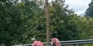 Cinta Tanpa Syarat, Romantis Sampai Oma Opa Opa Nikodemus dan Oma Ruth bergandengan tangan pulang dari Posyandu Lansia di PKM Morba, Kabupaten Alor baru-baru ini. Sumber: (FB Cimer).