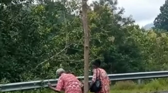 Cinta Tanpa Syarat, Romantis Sampai Oma Opa Opa Nikodemus dan Oma Ruth bergandengan tangan pulang dari Posyandu Lansia di PKM Morba, Kabupaten Alor baru-baru ini. Sumber: (FB Cimer).