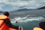 Viral, Tim SAR Alor Evakuasi Nelayan di Tengah Pusaran Arus Ombay Tim SAR Alor ketika mengevakuasi nelayan atas nama Fransisco Waang (38) di Desa Ombay Kecamatan Pantar Timur, Senin (18/4).