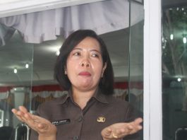 Expo Alor dan Alor Carnaval Tahun 2022 Dorong Ekonomi Kreatif dan Budaya Kadis Pariwisata Alor Ripka Sukerni Jayati. (Foto: tribuanapos.net/demas).