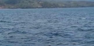 Cari Korban KM Cantika 77 yang Hilang, Keluarga Alor Temukan Bangkai Kapal Keluarga korban dari Desa Kangge Kecamatan Pantar Barat Laut Kabupaten Alor, menemukan bangkai kapal Cantika Express 77 dalam misi pencarian korban yang adalah keluarganya di perairan laut Timor, Sabtu (29/10) siang. Misi pencarian ini dilakukan pada hari Jumat (28/10) dan akan berakhir pada Minggu (30/10).