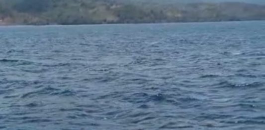 Cari Korban KM Cantika 77 yang Hilang, Keluarga Alor Temukan Bangkai Kapal Keluarga korban dari Desa Kangge Kecamatan Pantar Barat Laut Kabupaten Alor, menemukan bangkai kapal Cantika Express 77 dalam misi pencarian korban yang adalah keluarganya di perairan laut Timor, Sabtu (29/10) siang. Misi pencarian ini dilakukan pada hari Jumat (28/10) dan akan berakhir pada Minggu (30/10).