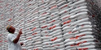 Stok Beras di Pasaran Alor NTT Kosong, Ahli Pertanian Undana Minta Gubernur Bupati Koordinasi Angkutan Kapal Beras Gambar: ilustrasi beras (sumber: Tempo.co).