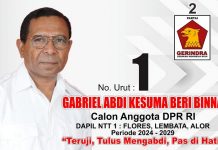 Profil Gabriel Beri Binna, Caleg DPR RI Dapil NTT 1: Teruji, Tulus Mengabdi, Pas di Hati Iklan