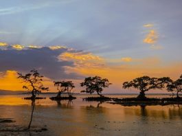 Keindahan Tongke Lima Aimoli Menjadi Magnet Wisata yang Tak Terlupakan Panorama pantai Tongke Lima saat matahari hampir terbenam. (Foto: doc tribuanapos.net).