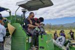 Bupati Alor Panen Raya Padi 141 Hektare dan Serahkan Alsintan ke Petani Desa Tanglapui Foto: Bupati Alor Iskandar Lakamau panen raya Padi 141 Hektare dan serahkan Alsintan ke Petani Desa Tanglapui, Senin (12/5). (Sumber: Bro Mike).