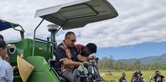 Bupati Alor Panen Raya Padi 141 Hektare dan Serahkan Alsintan ke Petani Desa Tanglapui Foto: Bupati Alor Iskandar Lakamau panen raya Padi 141 Hektare dan serahkan Alsintan ke Petani Desa Tanglapui, Senin (12/5). (Sumber: Bro Mike).