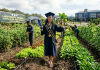 Bertabur Beasiswa, Prodi Agribisnis Untrib Kalabahi Terima Mahasiswa Baru 2026/2027, Gratis 15 Orang Pendaftar Pertama Lahan praktek Program Studi Agribisnis Fakultas Pertanian dan Perikanan Untrib Kalabahi. (Foto: doc tribuanapos.net).