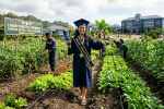 Bertabur Beasiswa, Prodi Agribisnis Untrib Kalabahi Terima Mahasiswa Baru 2026/2027, Gratis 15 Orang Pendaftar Pertama Gambar: Karikatur Lahan praktek Program Studi Agribisnis Fakultas Pertanian dan Perikanan Untrib Kalabahi. (Foto: doc tribuanapos.net).