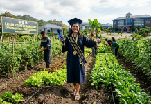 Bertabur Beasiswa, Prodi Agribisnis Untrib Kalabahi Terima Mahasiswa Baru 2026/2027, Gratis 15 Orang Pendaftar Pertama Lahan praktek Program Studi Agribisnis Fakultas Pertanian dan Perikanan Untrib Kalabahi. (Foto: doc tribuanapos.net).
