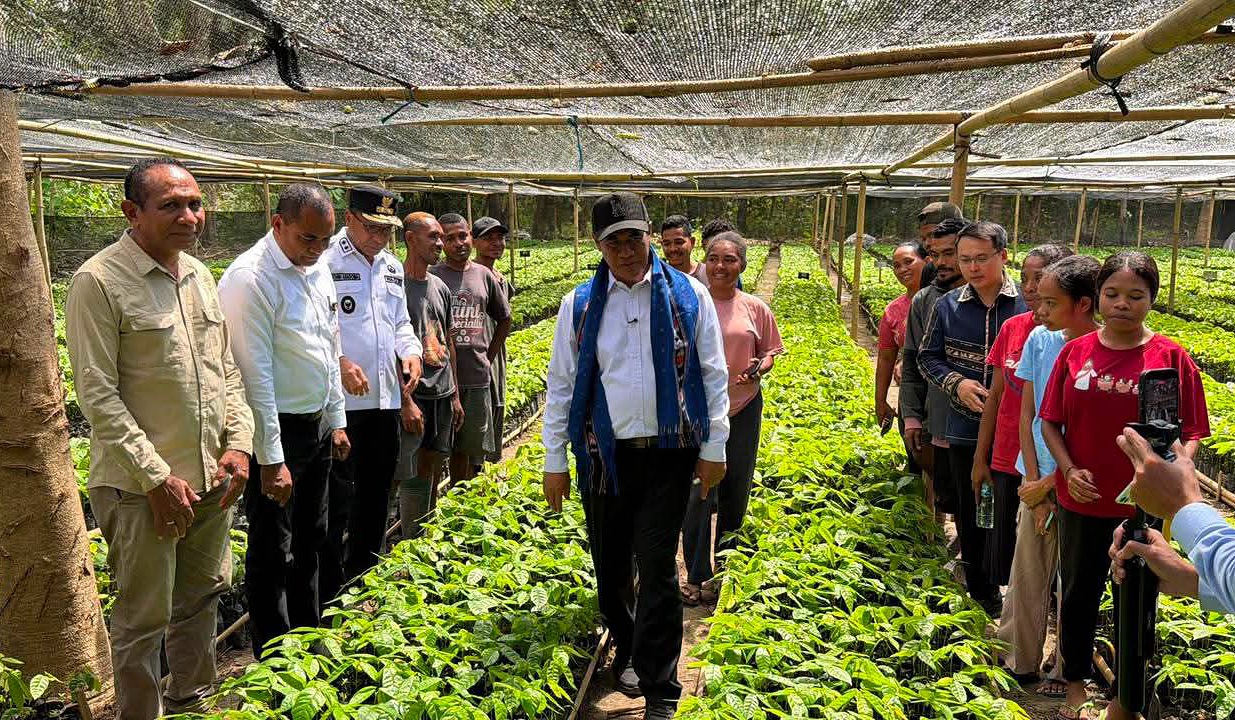 Mentan Andi Amran Sulaiman memantau pusat pembibitan Kakao di Desa Fanating Kecamatan Teluk Mutiara, Aloe, Sabtu (8/8). (Foto: Biro Administrasi Seta NTT/Odji). 