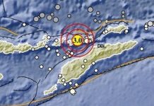 Gempa Magnitudo 3,0 Guncang Alor, Warga Panik Berhamburan ke Luar Rumah Gempa Magnitudo 3,0 Guncang Alor, Senin 17 Agustus 2026. (Foto: BMKG).
